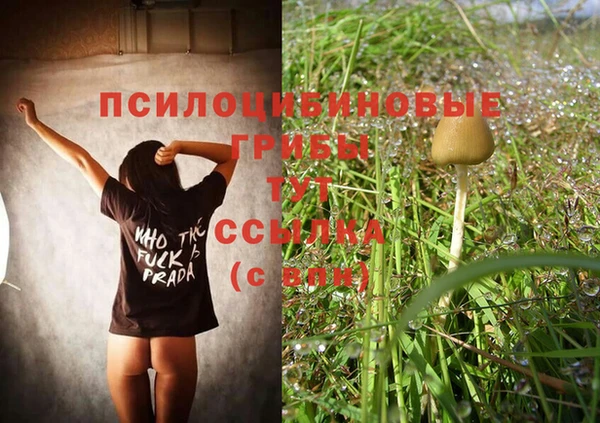 спиды Абинск
