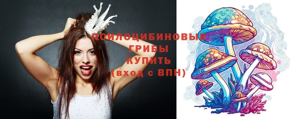 спиды Абинск