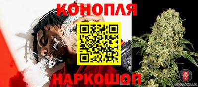 тгк Малгобек