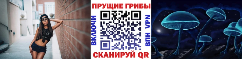 цена наркотик  Лесозаводск  omg ссылка  Галлюциногенные грибы мицелий 
